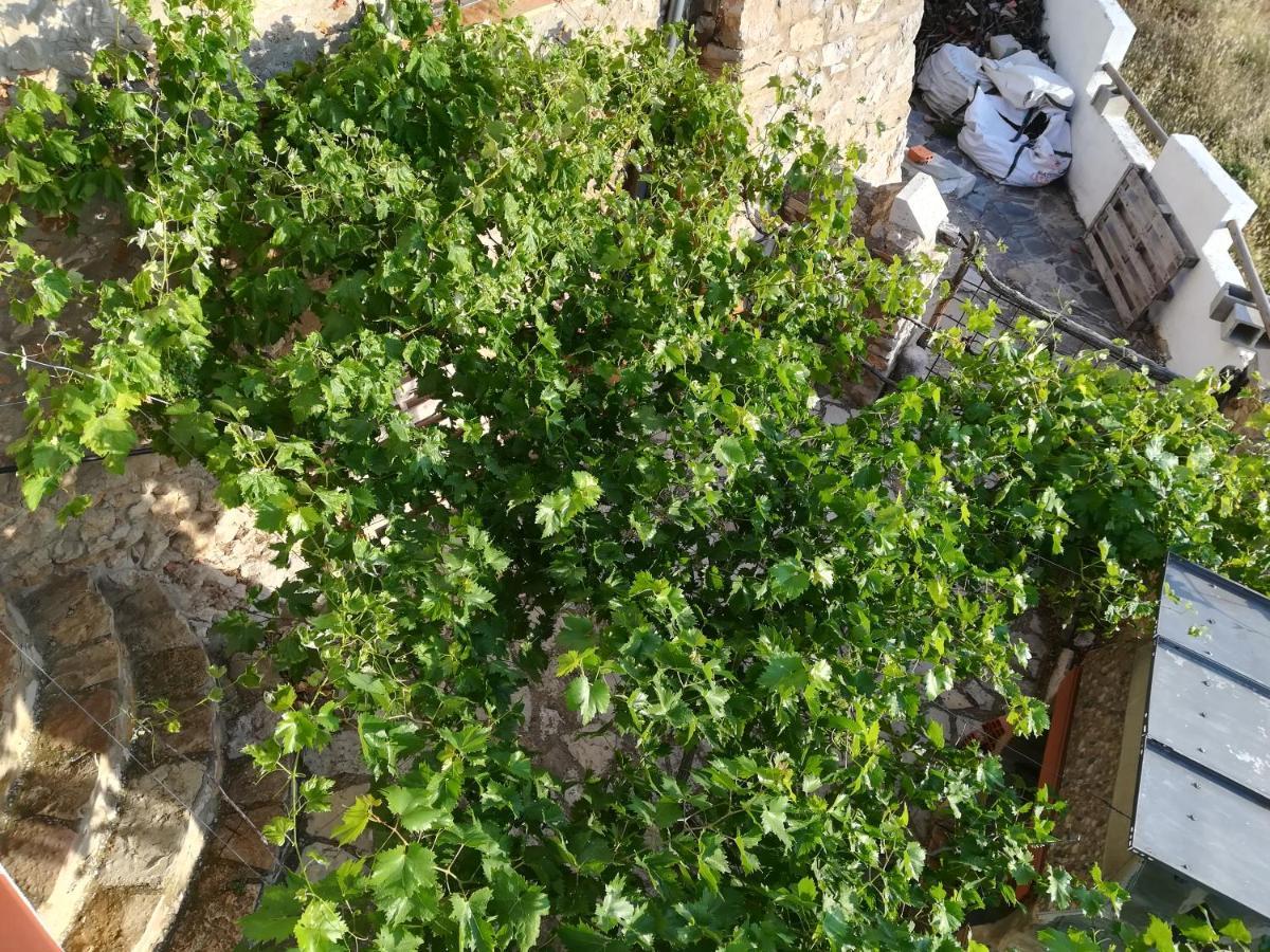 Casa Rita Villa Morella Dış mekan fotoğraf