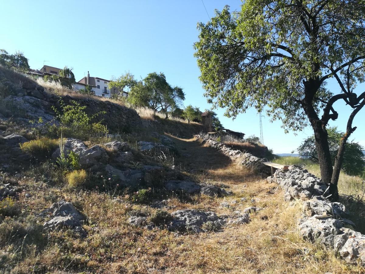 Casa Rita Villa Morella Dış mekan fotoğraf