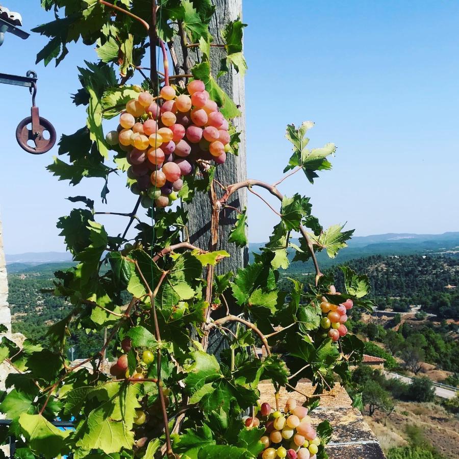 Casa Rita Villa Morella Dış mekan fotoğraf