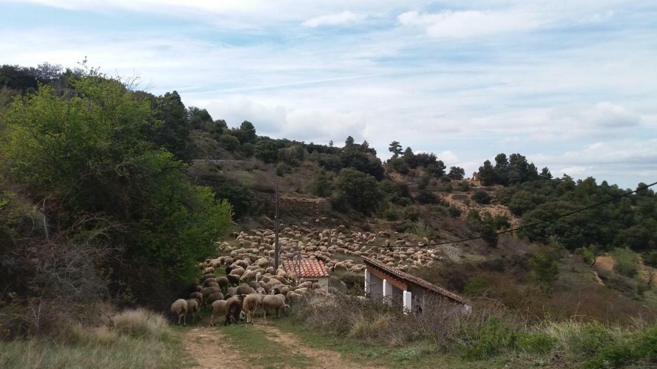 Casa Rita Villa Morella Dış mekan fotoğraf