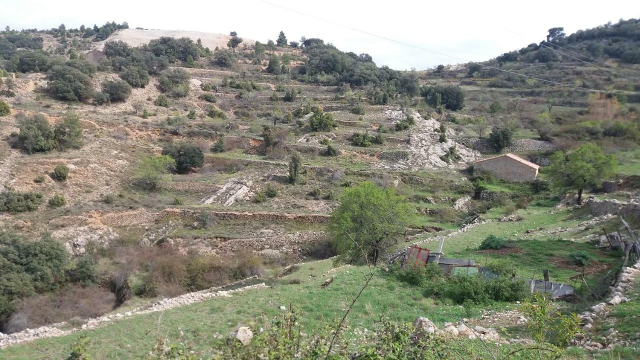 Casa Rita Villa Morella Dış mekan fotoğraf