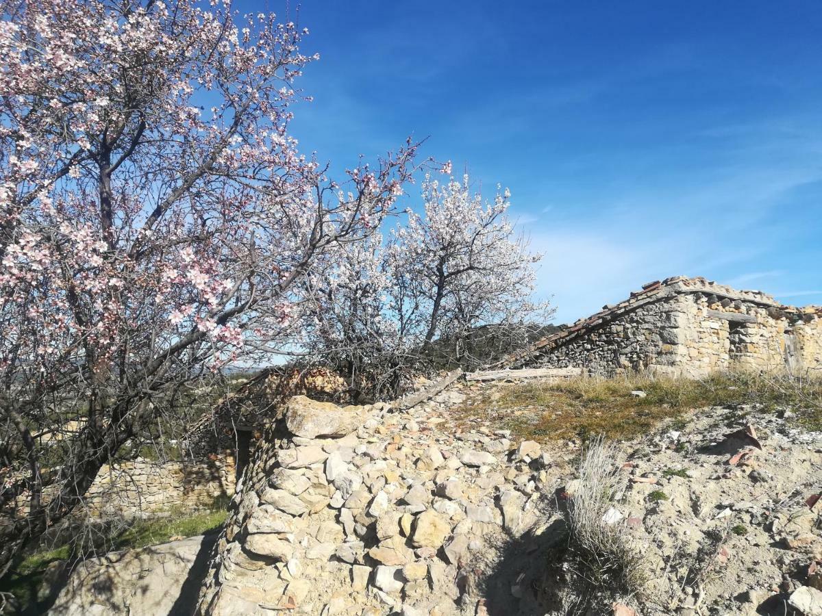 Casa Rita Villa Morella Dış mekan fotoğraf